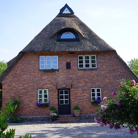 Appartement "Haus Auf Dem Berg" à Westensee Extérieur photo